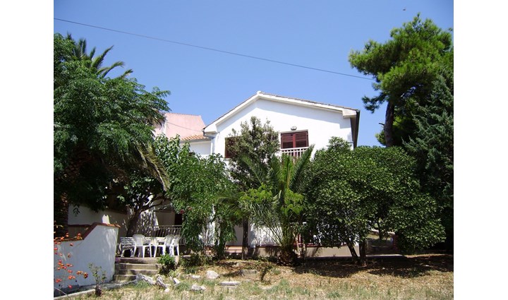 Peran Anđelija